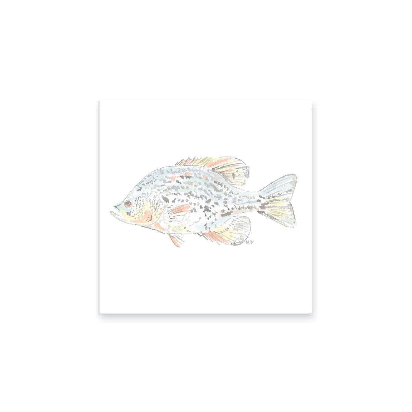Watercolor Fish Notepad