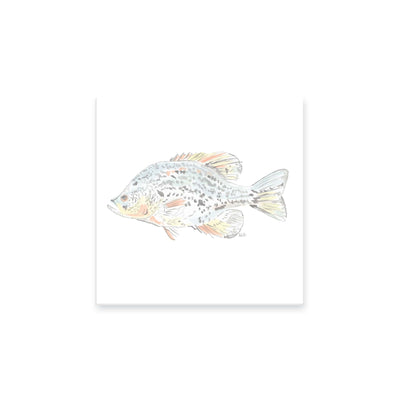 Watercolor Fish II Notepad